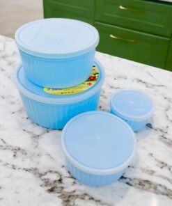 Food Container Boxes pack of 4